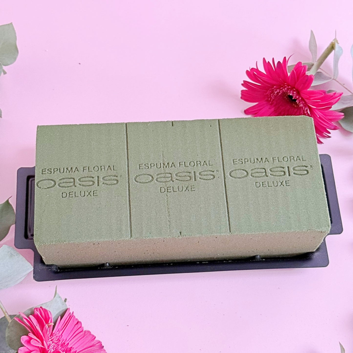 CAJA CON PRÁCTICO OASIS X12 UNIDADES