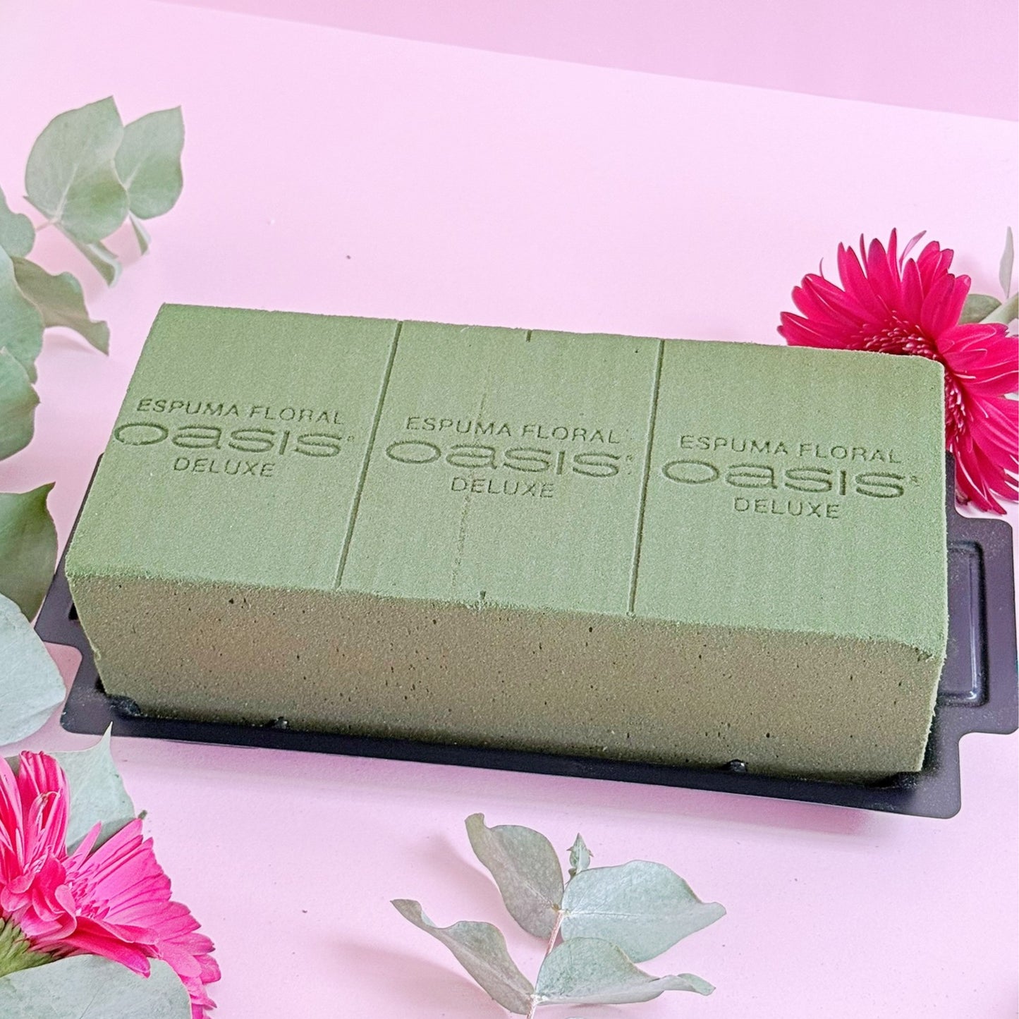 CAJA CON PRÁCTICO OASIS X12 UNIDADES