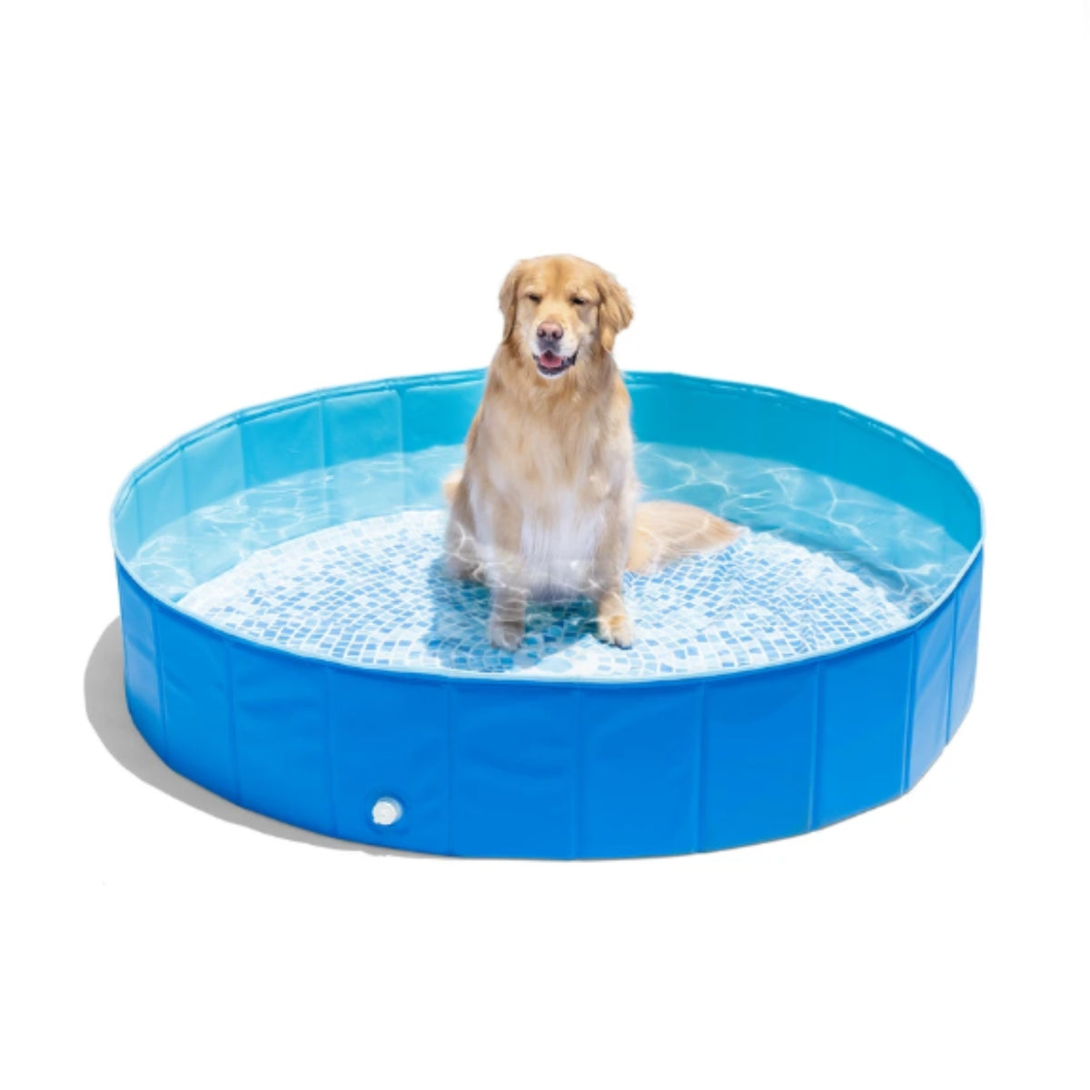 Piscina para mascotas intex