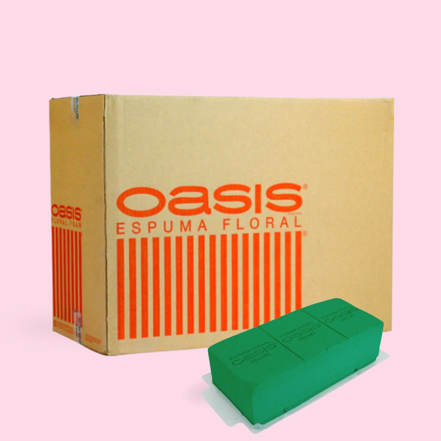 CAJA CON PRÁCTICO OASIS X12 UNIDADES