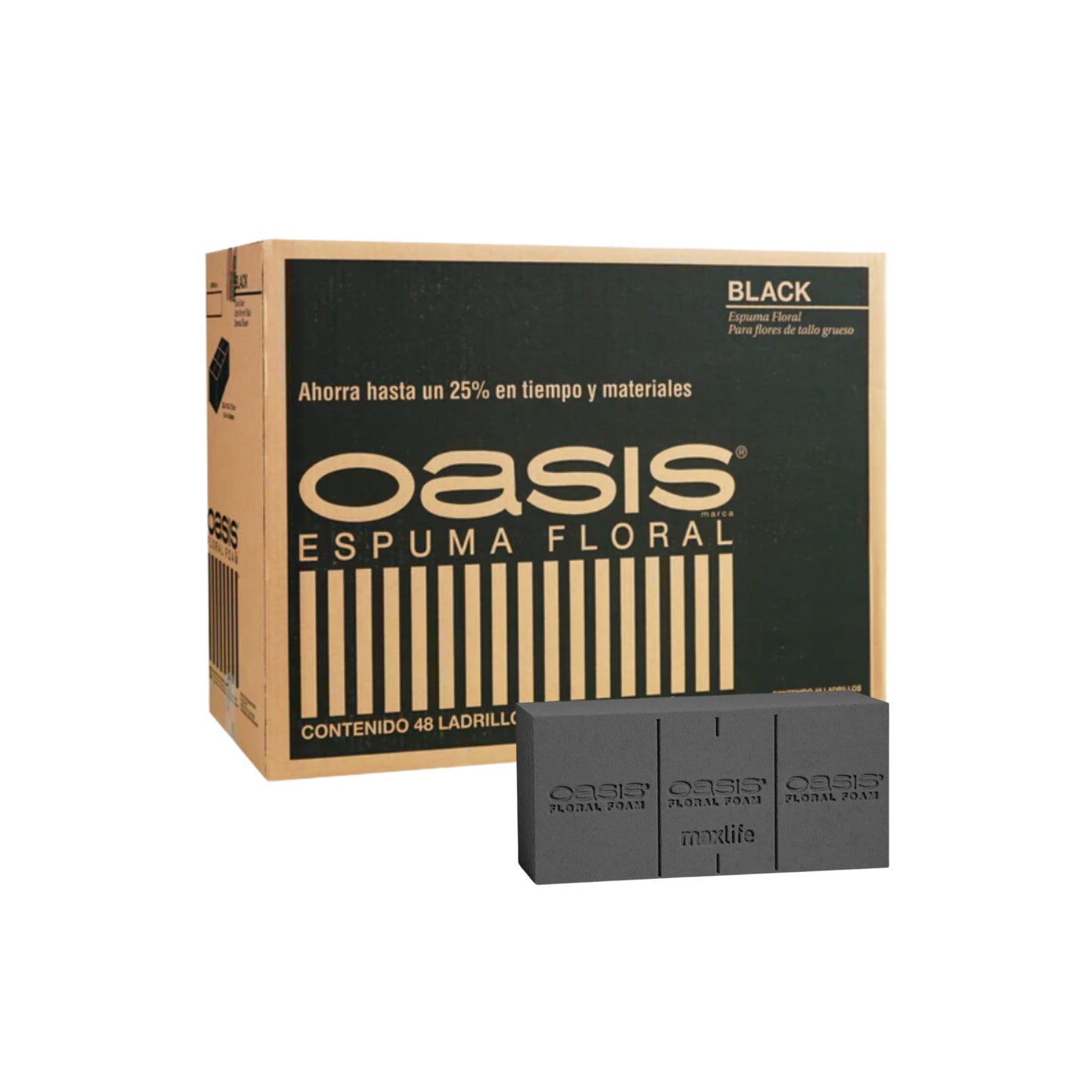 CAJA OASIS BLACK X48