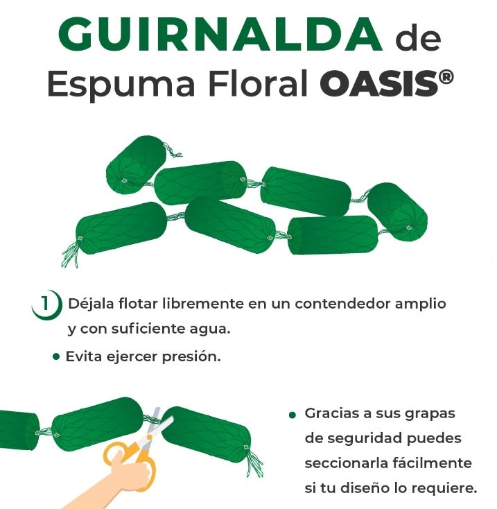 GUIRNALDA OASIS