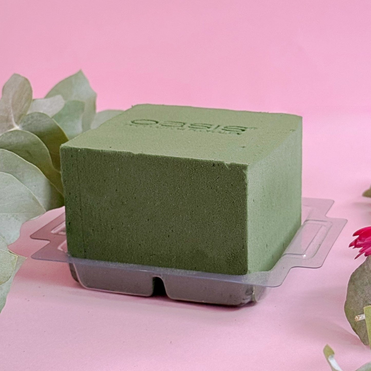 MINI PRÁCTICO OASIS