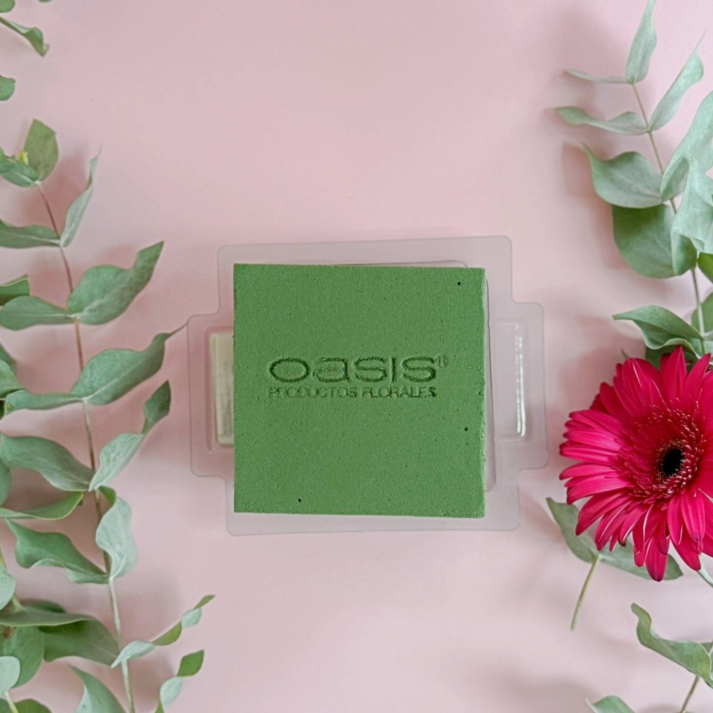 MINI PRÁCTICO OASIS