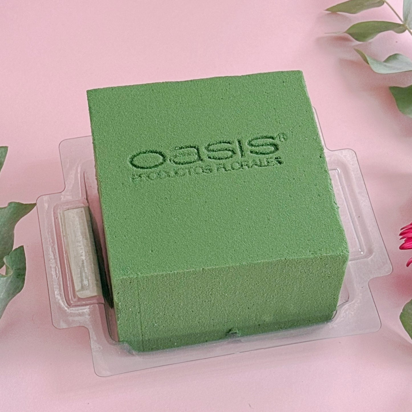 MINI PRÁCTICO OASIS
