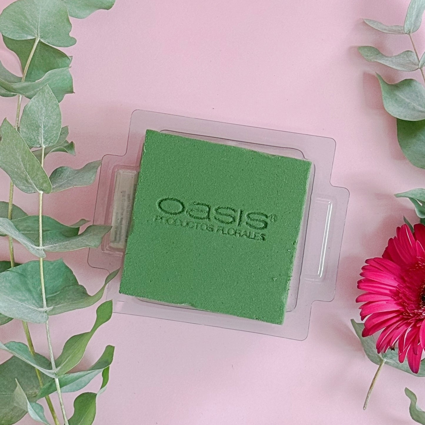 MINI PRÁCTICO OASIS