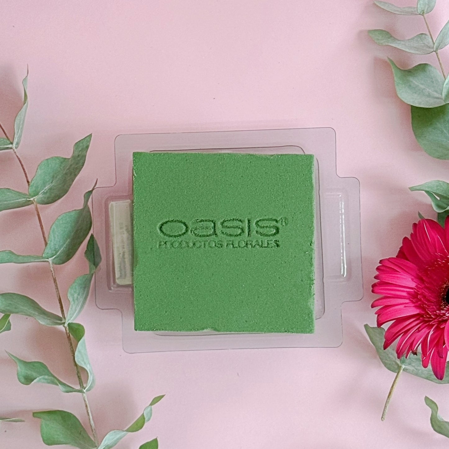 MINI PRÁCTICO OASIS