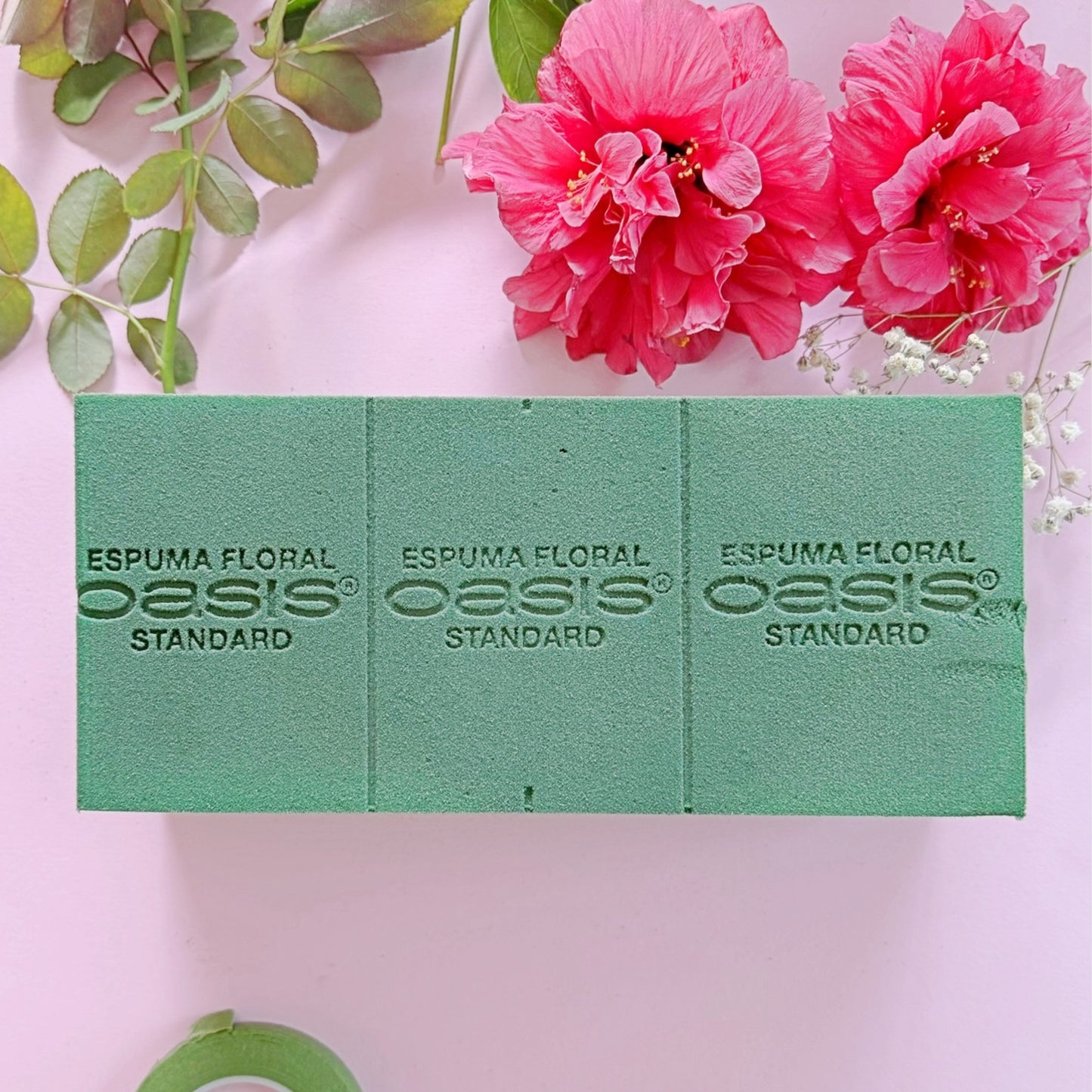 ESPUMA FLORAL OASIS STANDARD