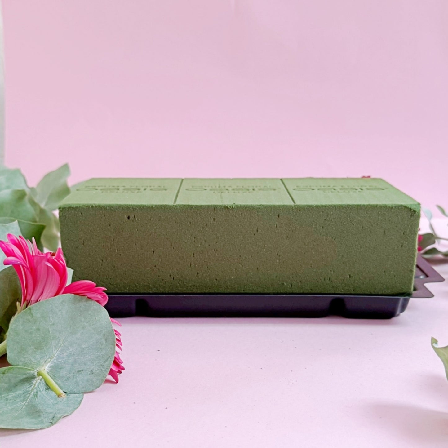 CAJA CON PRÁCTICO OASIS X12 UNIDADES