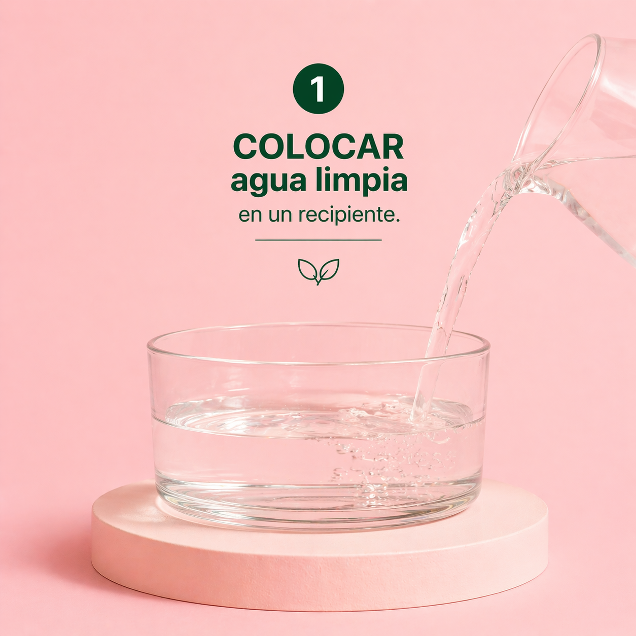 FLORALIFE EXPRESS ALIMENTO FLORAL