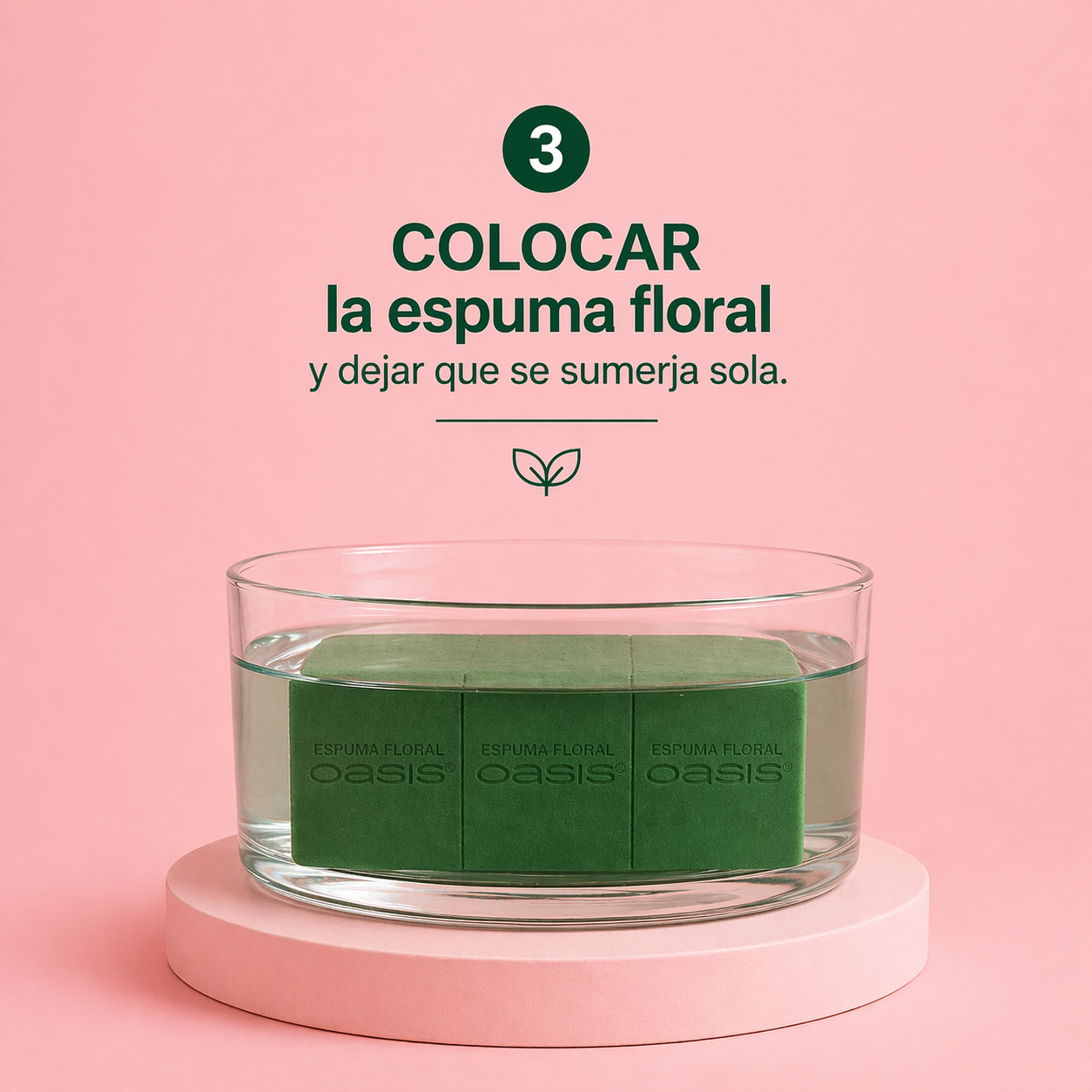 FLORALIFE EXPRESS ALIMENTO FLORAL
