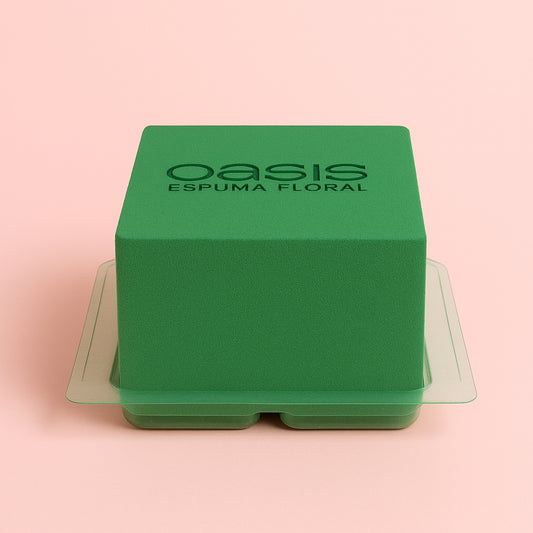 MINI PRÁCTICO OASIS