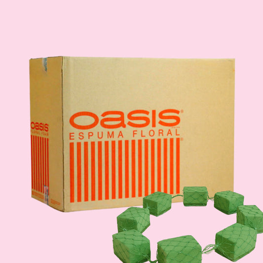 CAJA GUIRNALDA RECTA OASIS