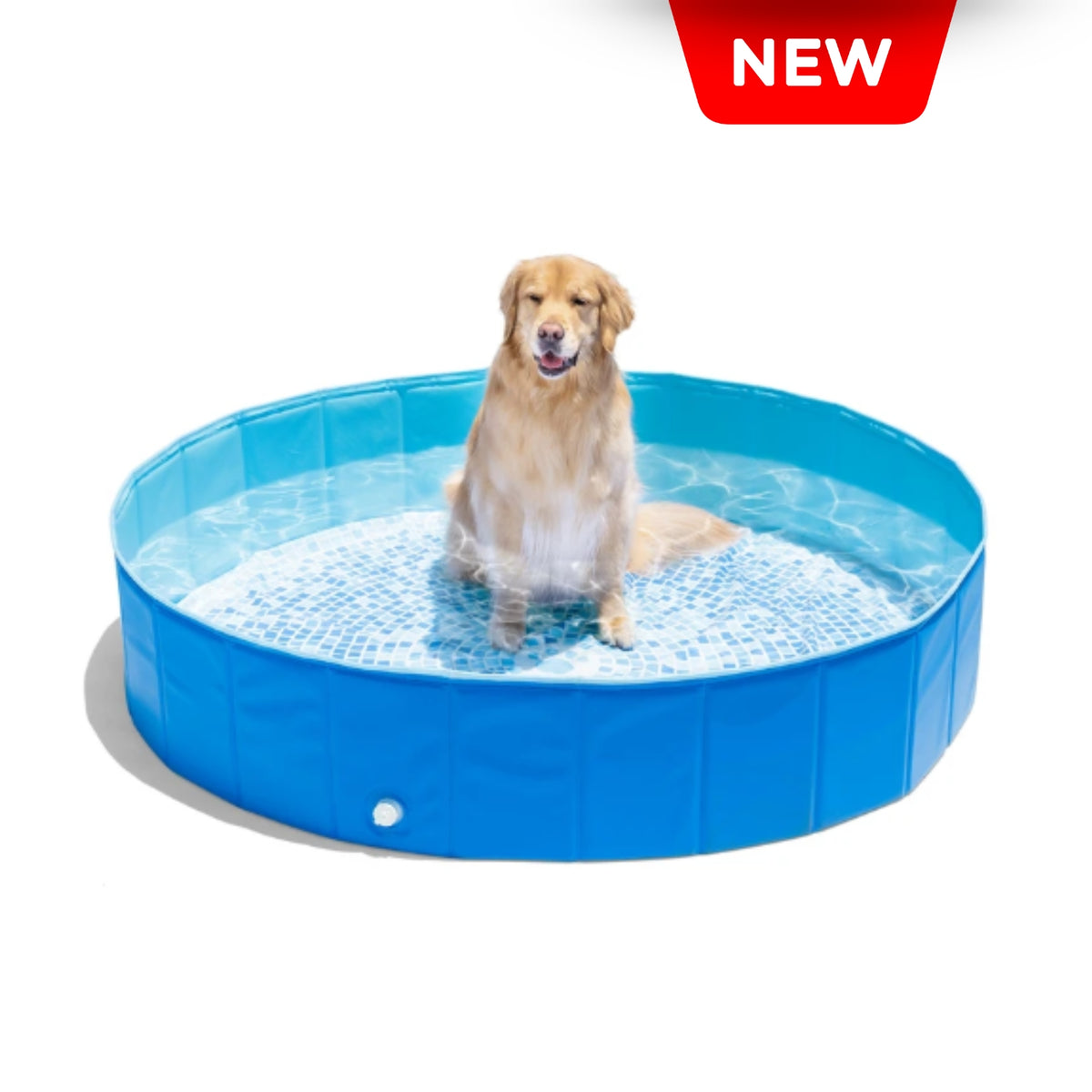 Piscina para mascotas intex