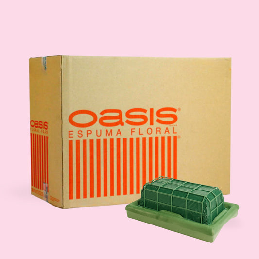 CAJA CON 4 CUBRE CAJAS GRANDE OASIS