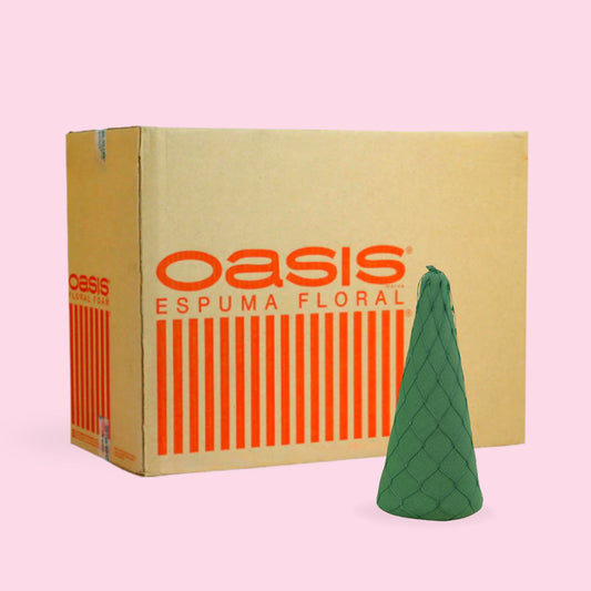 CAJA CON 12 CONOS 22 X 9.5 CM