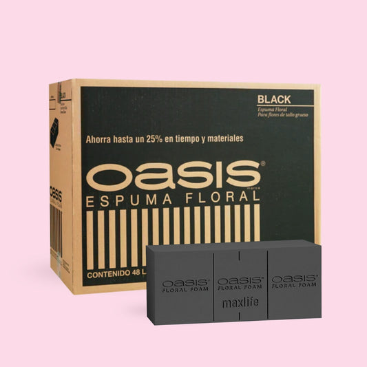 CAJA OASIS BLACK X48