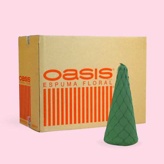 CAJA CON 12 CONOS 30 X 12 CM