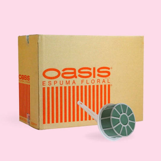 Caja De Oasis Espuma Floral Portarramos Mediano X12 Piezas