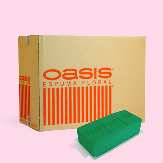 CAJA CON PRÁCTICO OASIS X12 UNIDADES