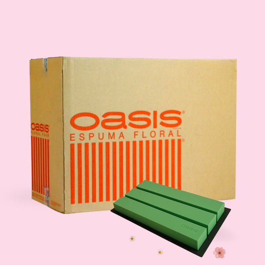 Caja Oasis Espuma Floral Mosaico X10 Unidades