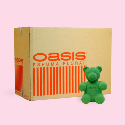 CAJA CON 17 OSOS 3D chicos