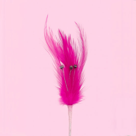PLUMAS PARA DECORACIÓN