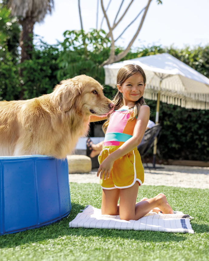 Piscina para mascotas intex