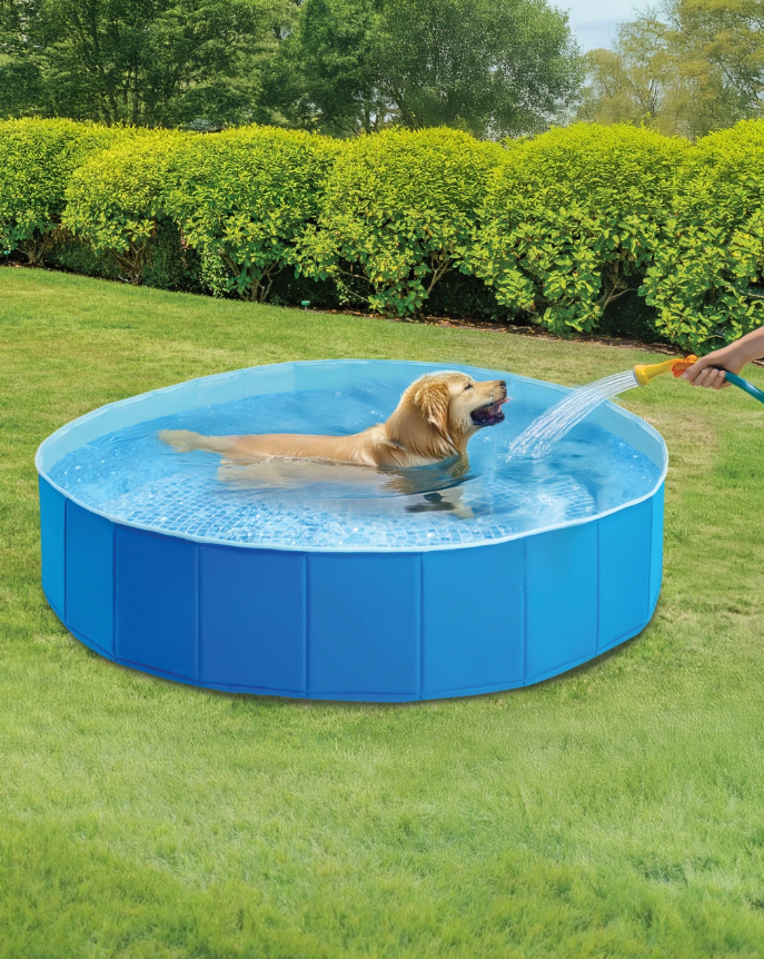 Piscina para mascotas intex