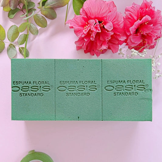 ESPUMA FLORAL OASIS STANDARD
